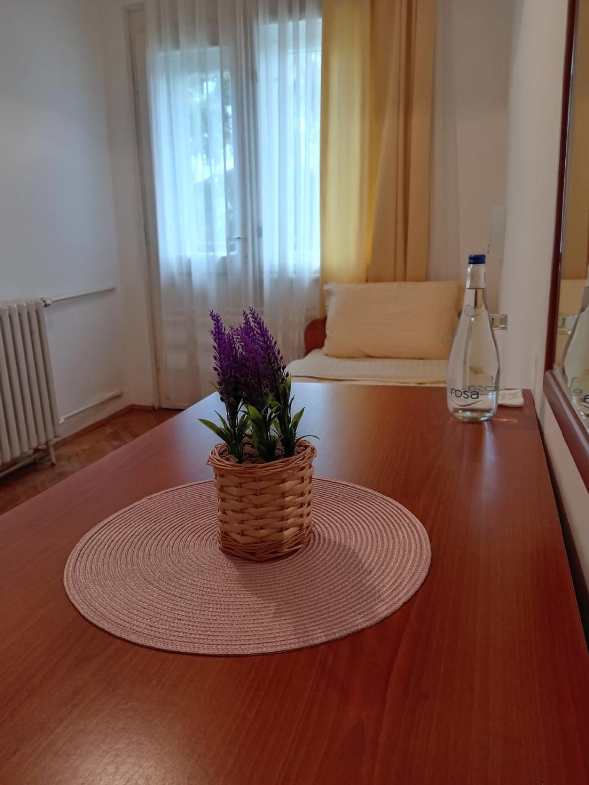 Hotel Vlasina - Vlasinsko Jezero Власина-Рид Экстерьер фото