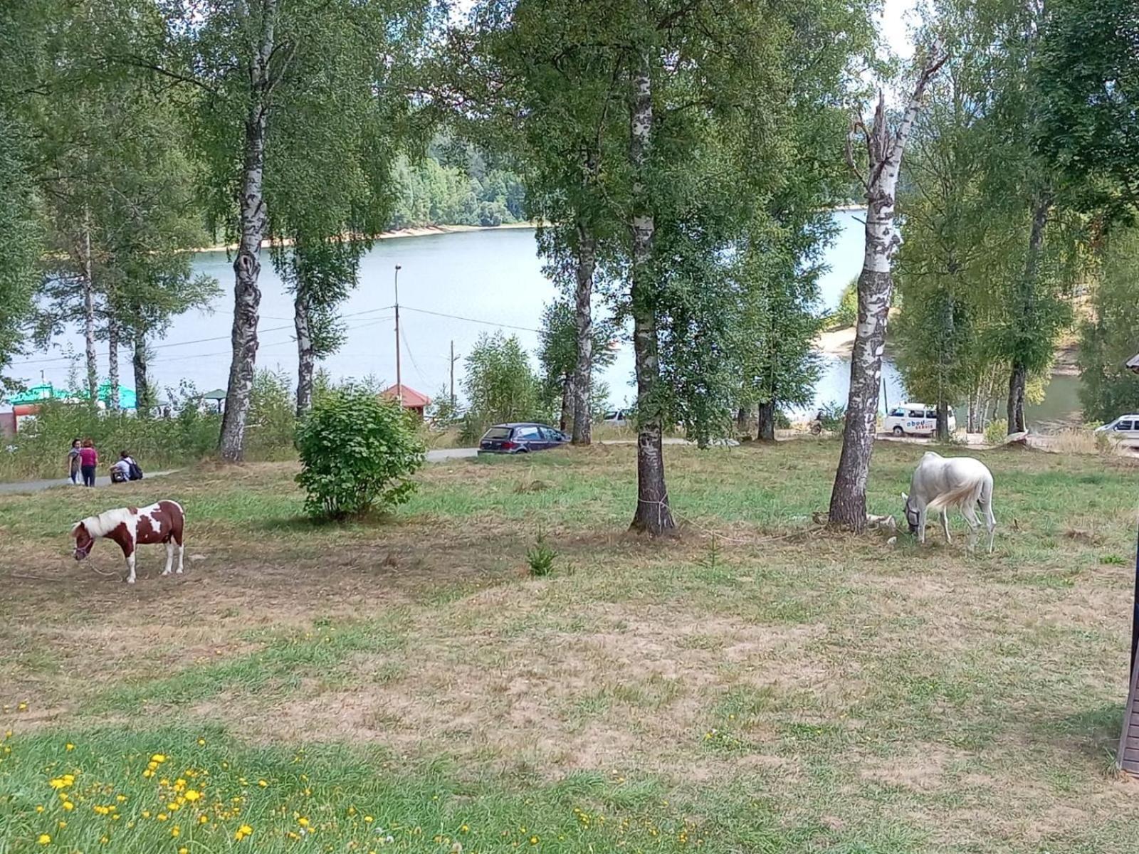 Hotel Vlasina - Vlasinsko Jezero Власина-Рид Экстерьер фото