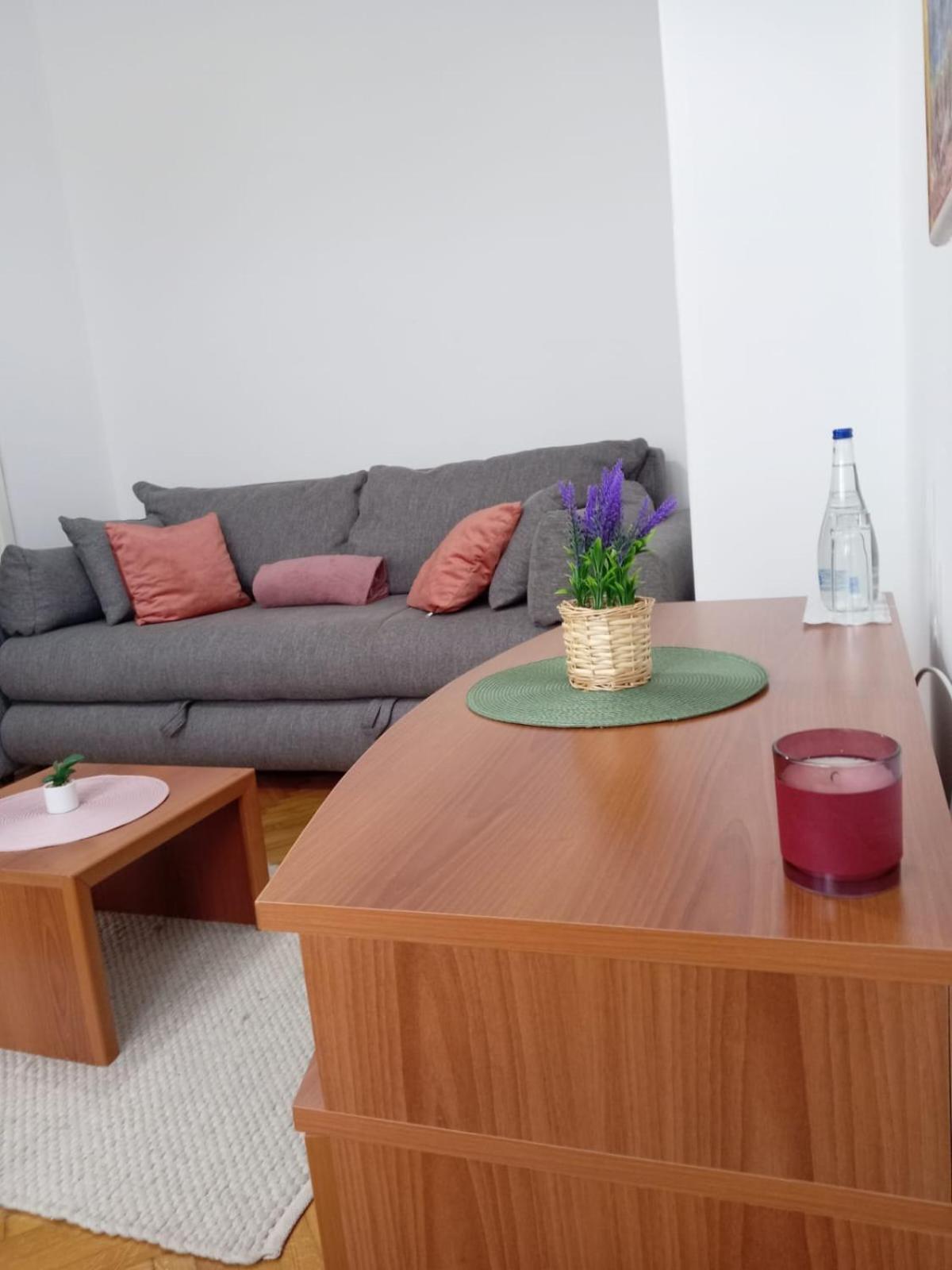 Hotel Vlasina - Vlasinsko Jezero Власина-Рид Экстерьер фото